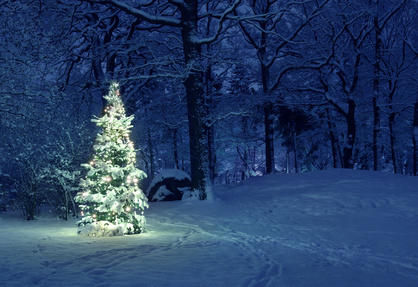 Buon Natale 2015 da Meteo Rocca Priora
