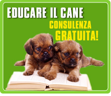 Consulenza comportamentale gratuita per cani ai Castelli Romani