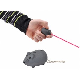 Gioco gatto puntatore laser
