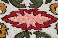 Apri categoria Infiorata Genzano di Roma