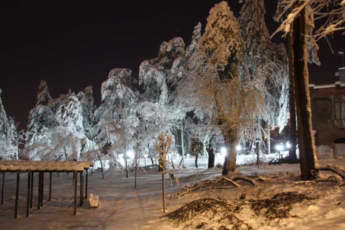 Rassegna Fotografica – La neve di Notte 1