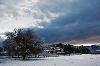 Neve Rocca Priora | Neve Castelli Romani