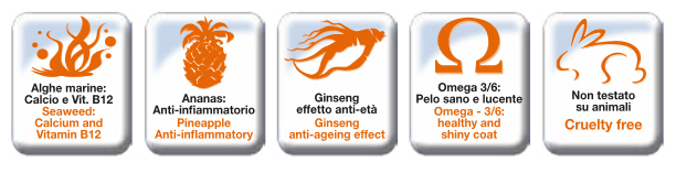 Monge Grain Free anatra e patate