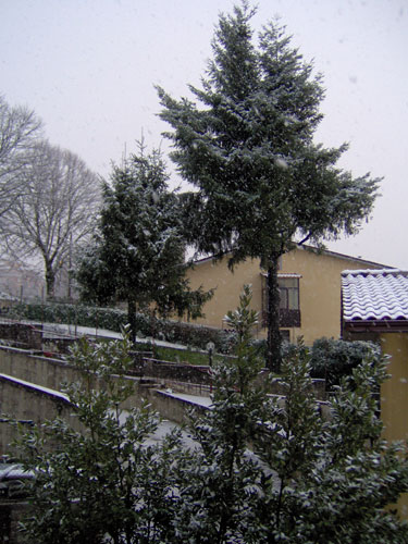 Neve Castelli Romani - Rocca Priora